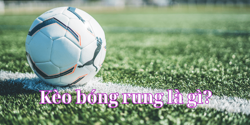 Kèo bóng rung là gì? Cẩm nang chơi kèo bóng rung hiệu quả